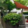 Le Petit Nice,