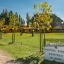 Tenuta Canto alla Moraia,Canto alla Moraia酒庄