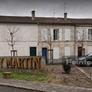 Remy Martin Cognac,