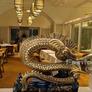 Golden Dragon,金龙
