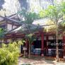 China Garden,中国园