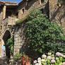 La Cantina Di Arianna,
