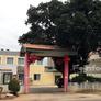 Mandarin Restaurant,食中天