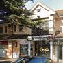 Golden Elephant Asian Restaurant,金象
