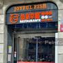Joyful Fish,鱼你幸福